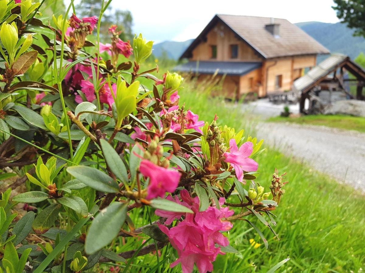 Villa Almhütte Kristabauer Predlitz Exterior foto
